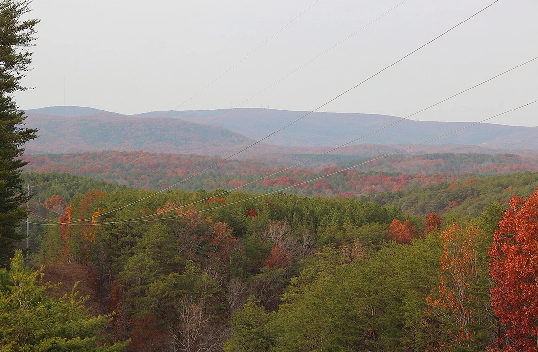 Tennessee land parcel records for Tennessee Land Buyers: What Sellers Should Know