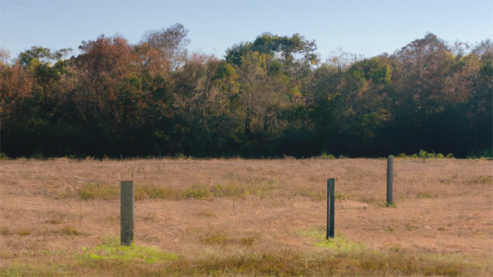 Open Tennessee land access road near Covington